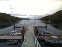 ./images/calvert/dock/20160524/dock20160524_053504.jpg
