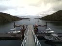 ./images/calvert/dock/20160527/dock20160527_191004.jpg
