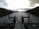 ./images/calvert/dock/20160528/dock20160528_105504.jpg