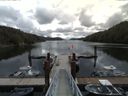./images/calvert/dock/20160529/dock20160529_112004.jpg