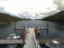 ./images/calvert/dock/20160529/dock20160529_142503.jpg