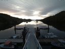 ./images/calvert/dock/20160531/dock20160531_053504.jpg
