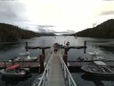 ./images/calvert/dock/20160602/dock20160602_114504.jpg
