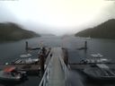 ./images/calvert/dock/20160603/dock20160603_103503.jpg