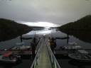 ./images/calvert/dock/20160603/dock20160603_214501.jpg