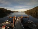 ./images/calvert/dock/20160604/dock20160604_195001.jpg
