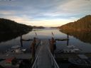 ./images/calvert/dock/20160604/dock20160604_205504.jpg