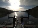 ./images/calvert/dock/20160605/dock20160605_074501.jpg