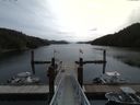 ./images/calvert/dock/20160605/dock20160605_103504.jpg