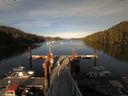 ./images/calvert/dock/20160605/dock20160605_194502.jpg