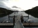 ./images/calvert/dock/20160606/dock20160606_110504.jpg