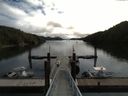 ./images/calvert/dock/20160606/dock20160606_111002.jpg