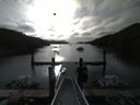 ./images/calvert/dock/20160607/dock20160607_074503.jpg