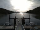 ./images/calvert/dock/20160607/dock20160607_090004.jpg
