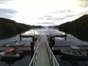 ./images/calvert/dock/20160609/dock20160609_051502.jpg