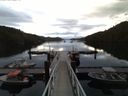 ./images/calvert/dock/20160609/dock20160609_052001.jpg