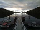 ./images/calvert/dock/20160609/dock20160609_063504.jpg