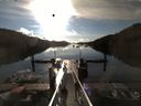 ./images/calvert/dock/20160609/dock20160609_074004.jpg