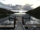 ./images/calvert/dock/20160609/dock20160609_091004.jpg