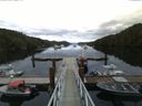 ./images/calvert/dock/20160611/dock20160611_054501.jpg