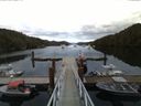 ./images/calvert/dock/20160611/dock20160611_055001.jpg