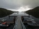 ./images/calvert/dock/20160611/dock20160611_071504.jpg