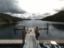 ./images/calvert/dock/20160611/dock20160611_115004.jpg