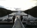 ./images/calvert/dock/20160613/dock20160613_080504.jpg