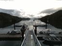 ./images/calvert/dock/20160613/dock20160613_085004.jpg