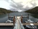 ./images/calvert/dock/20160613/dock20160613_130504.jpg