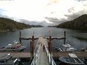 ./images/calvert/dock/20160613/dock20160613_140501.jpg