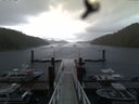 ./images/calvert/dock/20160614/dock20160614_055003.jpg