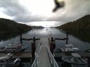 ./images/calvert/dock/20160614/dock20160614_060502.jpg