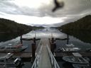 ./images/calvert/dock/20160614/dock20160614_065504.jpg