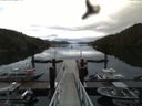 ./images/calvert/dock/20160614/dock20160614_070502.jpg