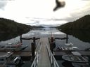 ./images/calvert/dock/20160614/dock20160614_071004.jpg