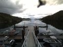 ./images/calvert/dock/20160614/dock20160614_072002.jpg
