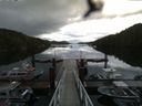 ./images/calvert/dock/20160614/dock20160614_072502.jpg