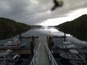 ./images/calvert/dock/20160614/dock20160614_073501.jpg