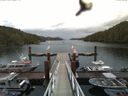 ./images/calvert/dock/20160614/dock20160614_080504.jpg