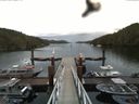./images/calvert/dock/20160614/dock20160614_082003.jpg
