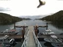 ./images/calvert/dock/20160614/dock20160614_082503.jpg