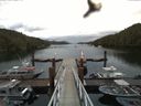 ./images/calvert/dock/20160614/dock20160614_083002.jpg