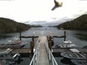 ./images/calvert/dock/20160614/dock20160614_084002.jpg