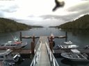 ./images/calvert/dock/20160614/dock20160614_102004.jpg