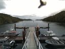 ./images/calvert/dock/20160614/dock20160614_104501.jpg