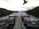 ./images/calvert/dock/20160614/dock20160614_114004.jpg