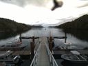 ./images/calvert/dock/20160614/dock20160614_114502.jpg