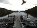 ./images/calvert/dock/20160614/dock20160614_115002.jpg