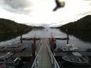 ./images/calvert/dock/20160614/dock20160614_115504.jpg